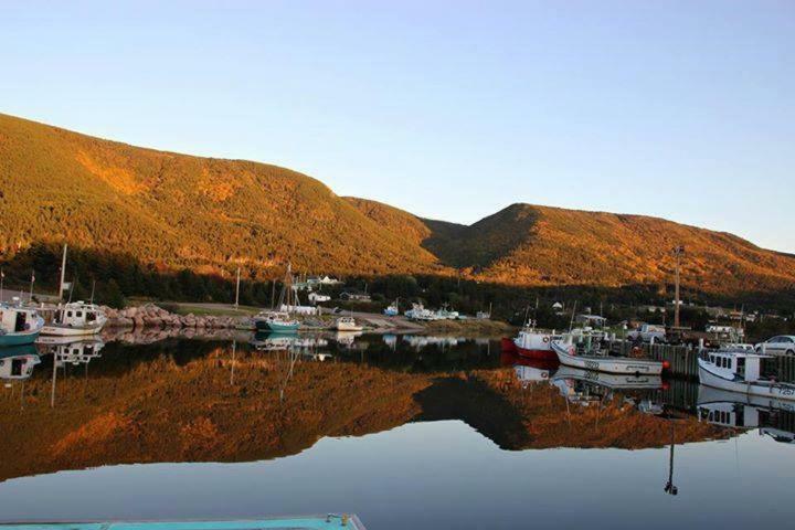 Burton'S Sunset Oasis Motel Bay Saint Lawrence Kültér fotó