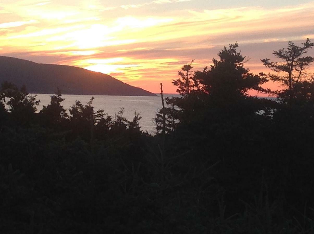 Burton'S Sunset Oasis Motel Bay Saint Lawrence Kültér fotó